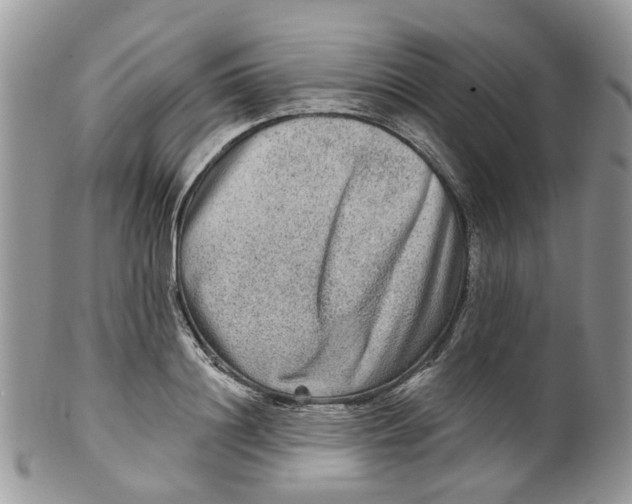 X0000099500844200806051121