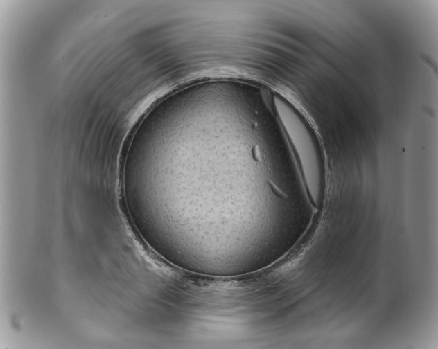 X0000099500845200806051121