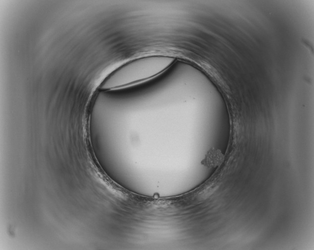 X0000099500846200806051121