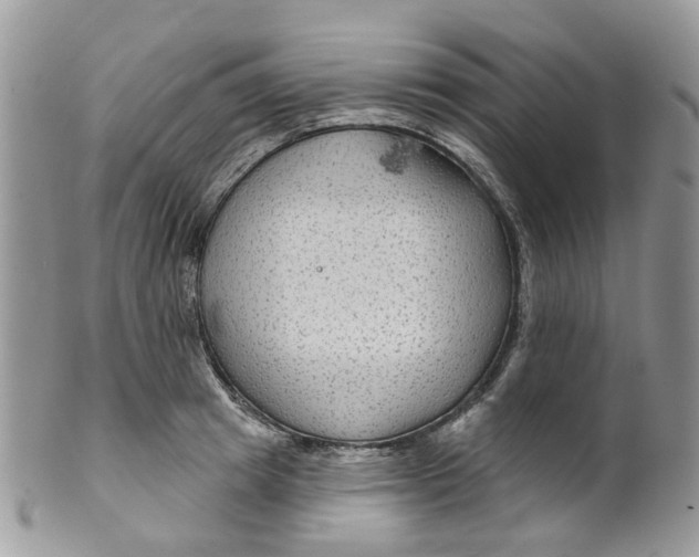 X0000099500849200806051121