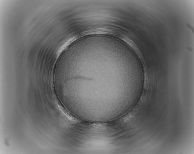 X0000099500850200806051121