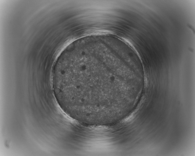 X0000099500851200806051121