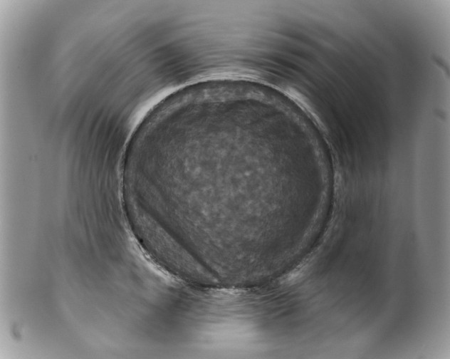 X0000099500854200806051121