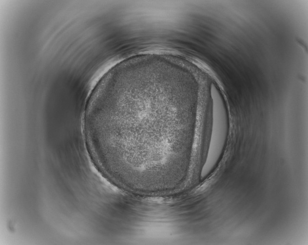 X0000099500855200806051121