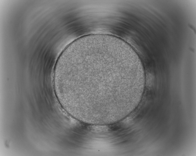 X0000099500856200806051121