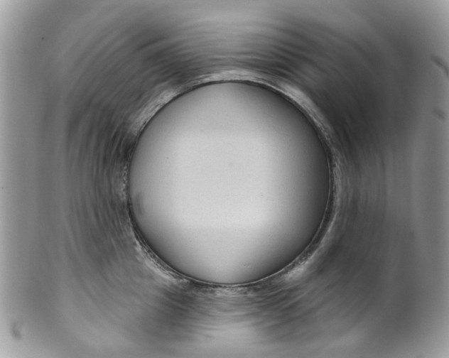 X0000099500857200806051121