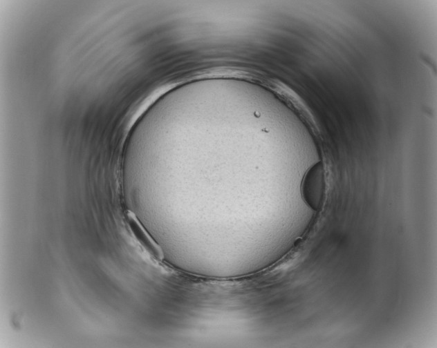 X0000099500860200806051121