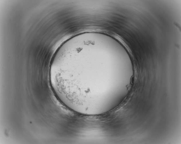 X0000099500861200806051121