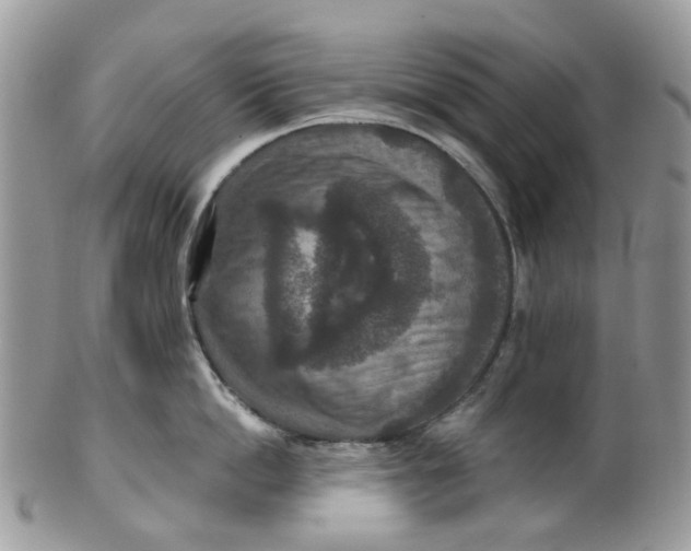 X0000099500862200806051121