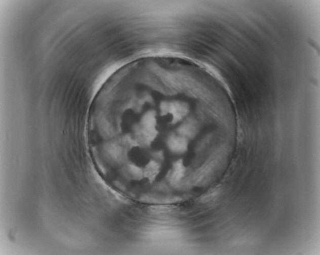 X0000099500863200806051121