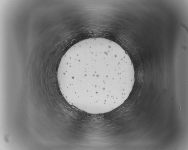 X0000099500865200806051120