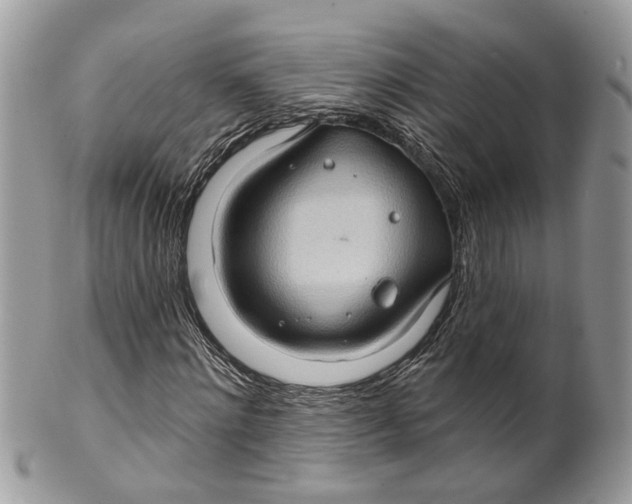 X0000099500868200806051120