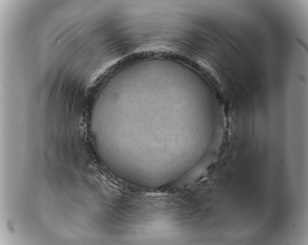 X0000099500872200806051120