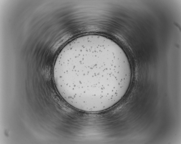 X0000099500873200806051120