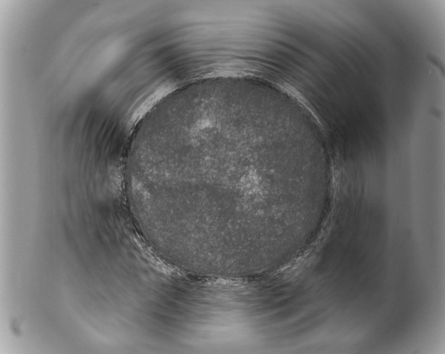 X0000099500874200806051120