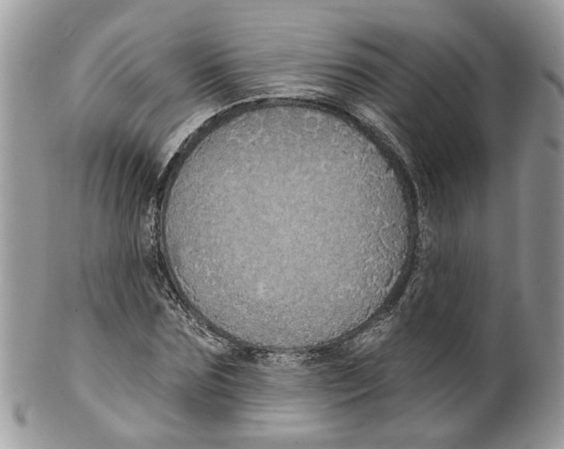 X0000099500875200806051120