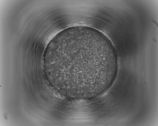 X0000099500879200806051120