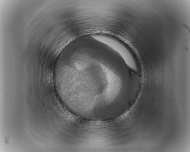 X0000099500881200806051120