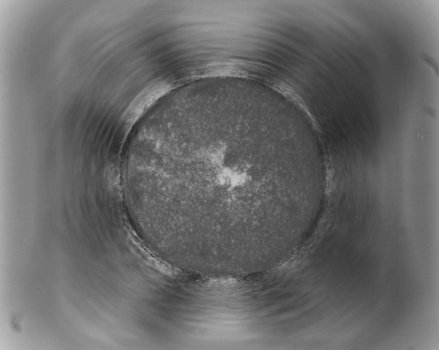 X0000099500882200806051120