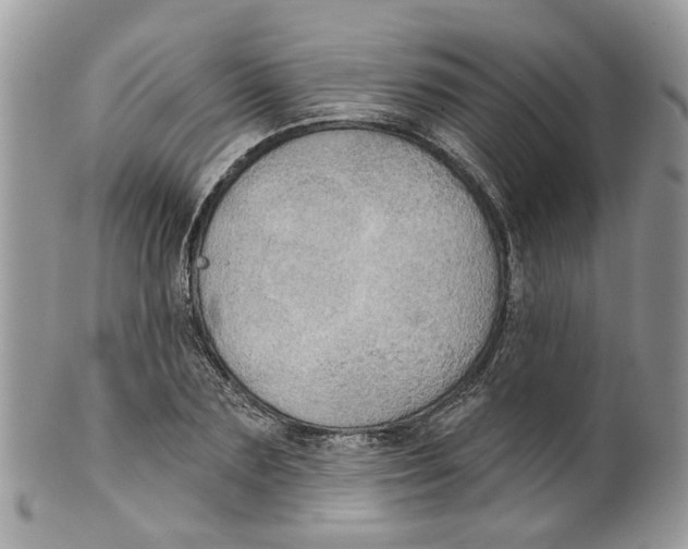 X0000099500883200806051120