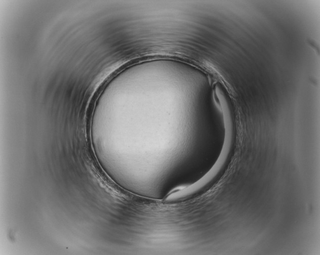 X0000099500884200806051120