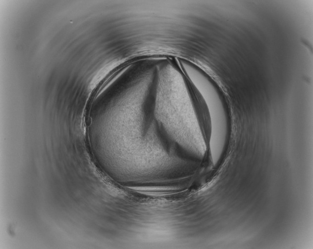 X0000099500885200806051120