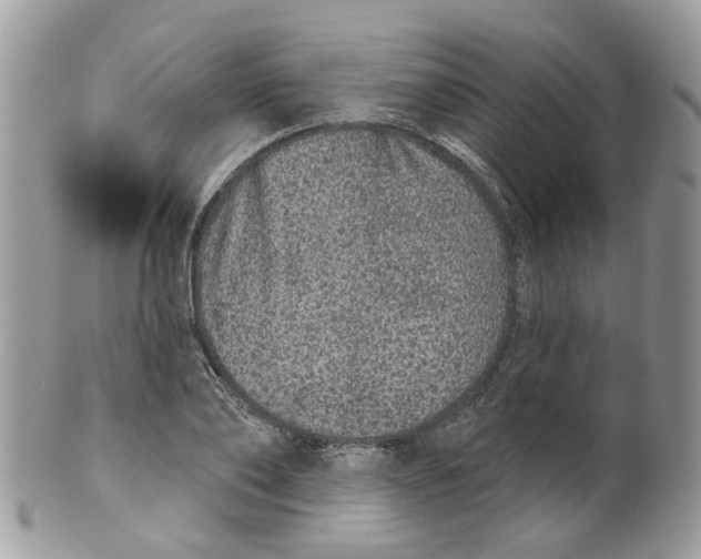 X0000099500886200806051120