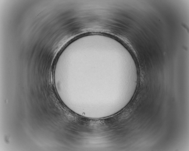 X0000099500887200806051120