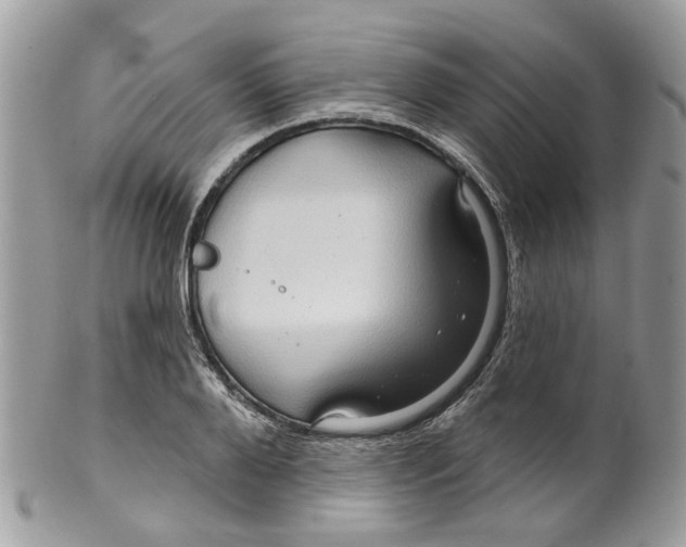 X0000099500888200806051120