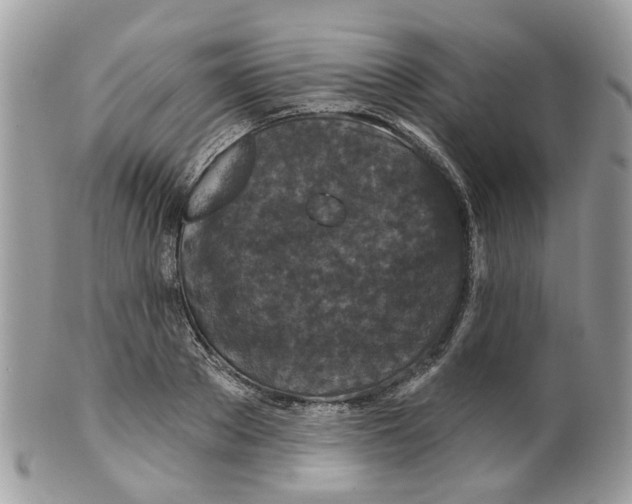 X0000099500889200806051120