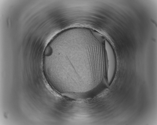 X0000099500896200806051120