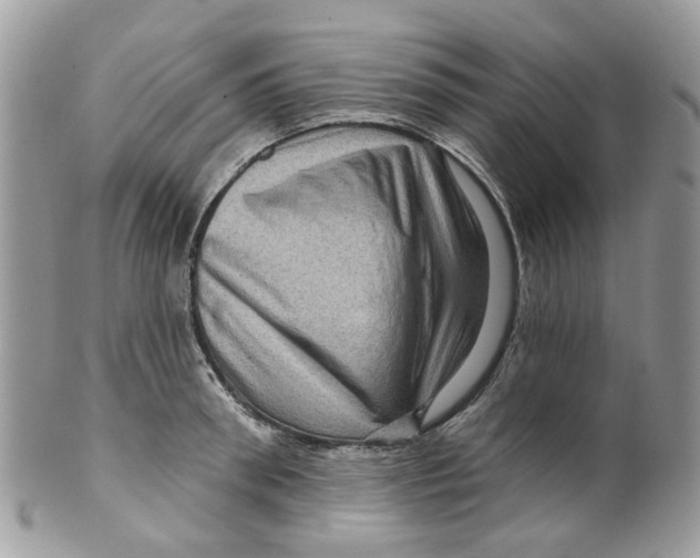 X0000099500898200806051120