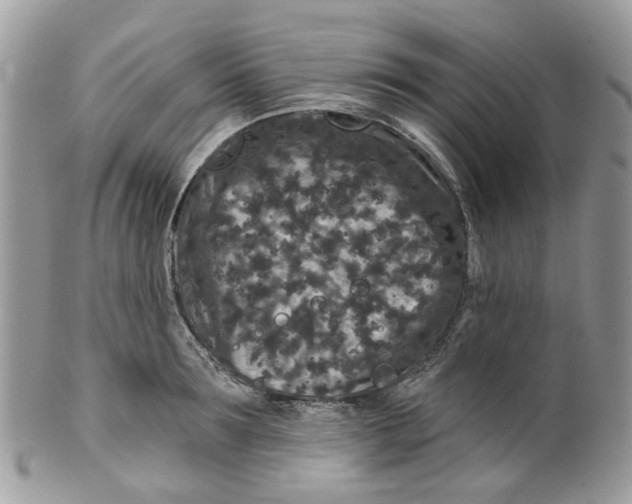 X0000099500899200806051120