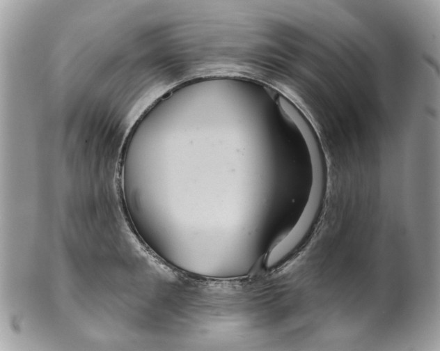 X0000099500901200806051120