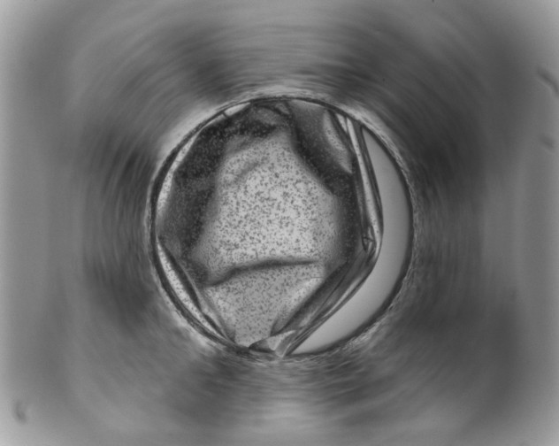 X0000099500902200806051120