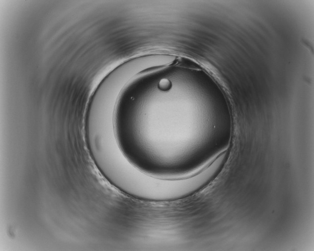 X0000099500904200806051120