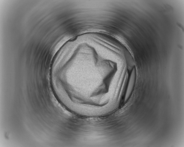 X0000099500906200806051120