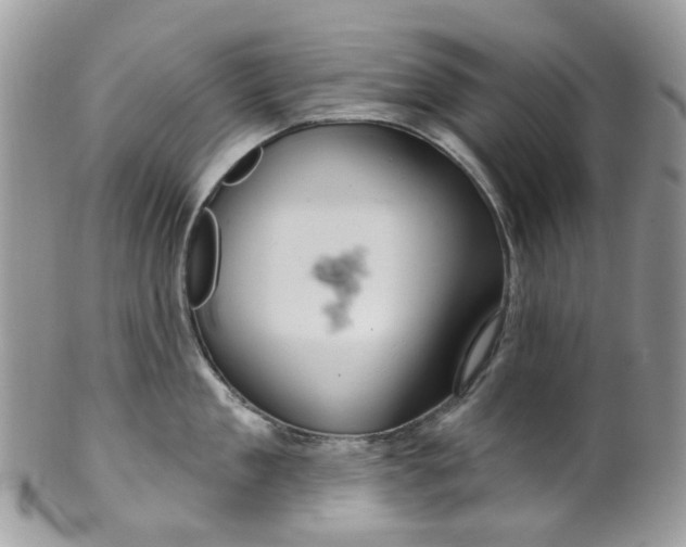 X0000099500909200806051120