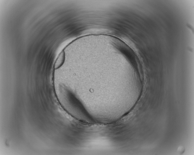 X0000099500912200806051120