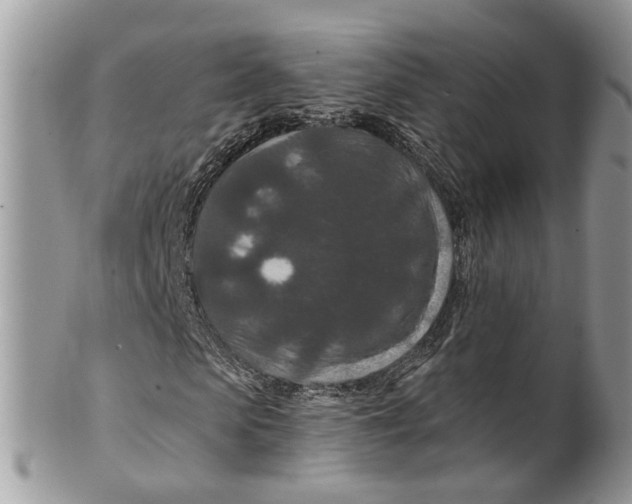 X0000099500913200806051119