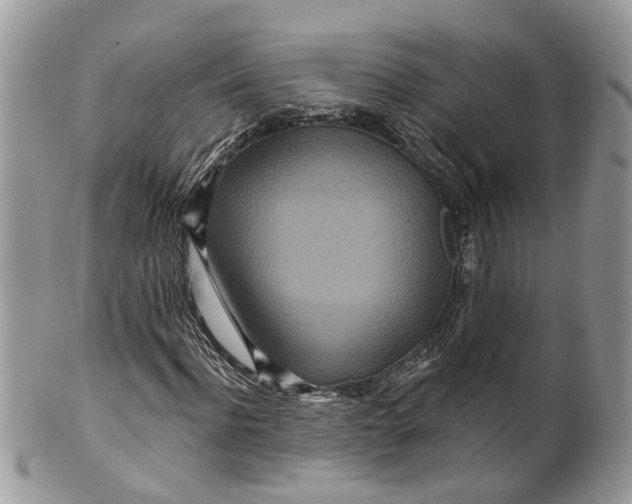 X0000099500916200806051119