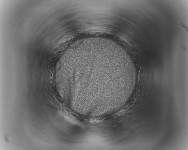 X0000099500917200806051119