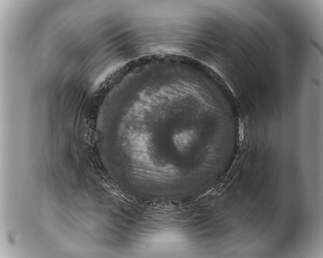 X0000099500919200806051119