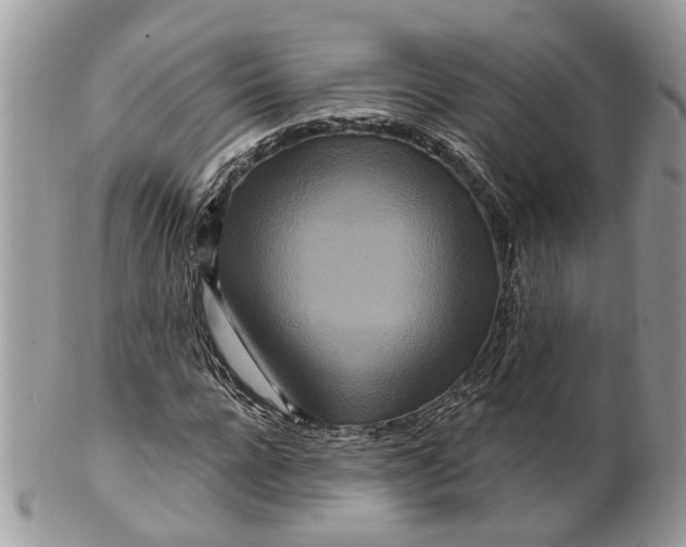 X0000099500920200806051119