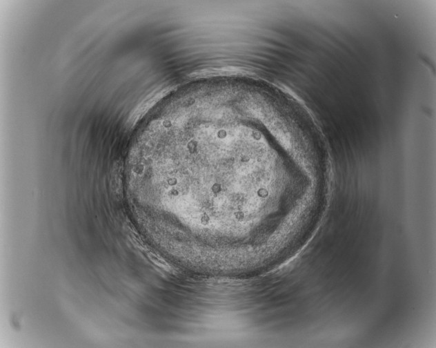 X0000099500921200806051119