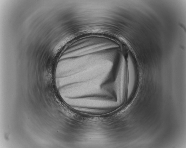 X0000099500922200806051119