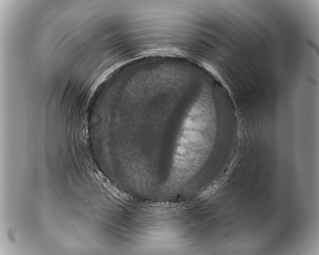 X0000099500923200806051119