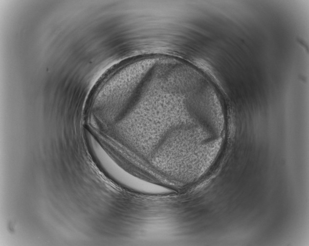 X0000099500924200806051119