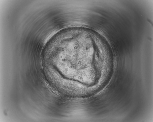 X0000099500925200806051119