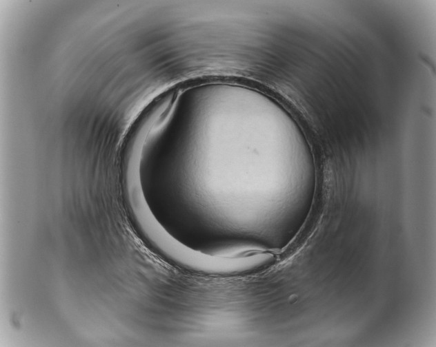 X0000099500926200806051119